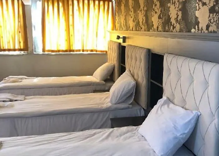 Otel Golden Hıll Downtown